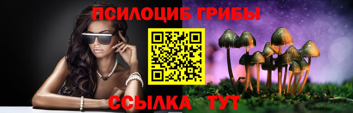 Псилоцибиновые грибы MAGIC MUSHROOMS Берёзовский